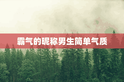 霸气的昵称男生简单气质(霸气的昵称男生简单气质两个字)